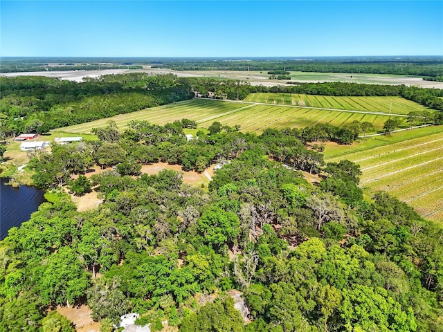 133 Federal Point Rd, East Palatka, FL 32131 - photo 67