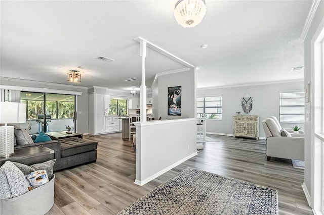 16 Courtney Pl, Palm Coast, FL 32137 - living room with ornamental molding, plenty of natural light, light wood-type flooring, and a textured ceiling