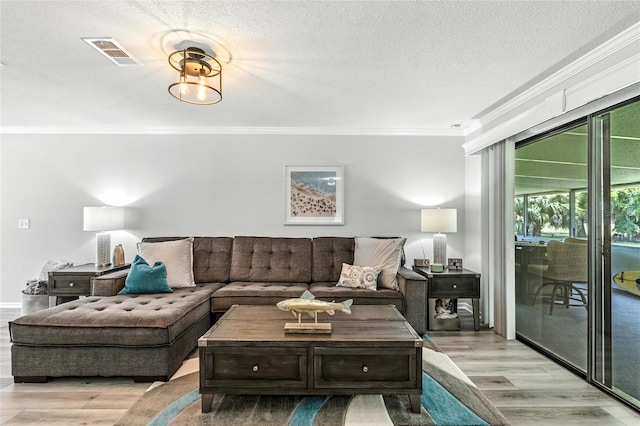16 Courtney Pl, Palm Coast, FL 32137 - living room with ornamental molding, light wood finished floors, and a textured ceiling