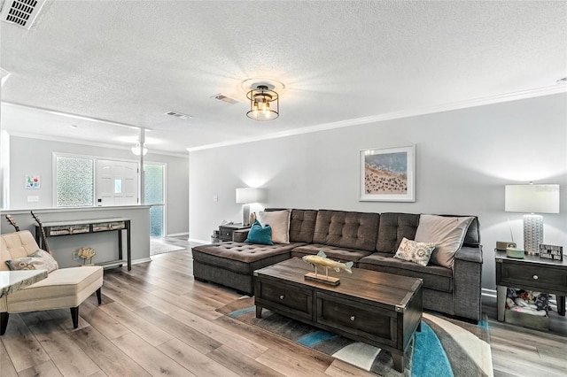 16 Courtney Pl, Palm Coast, FL 32137 - living room with ornamental molding, a textured ceiling, and light wood-style floors
