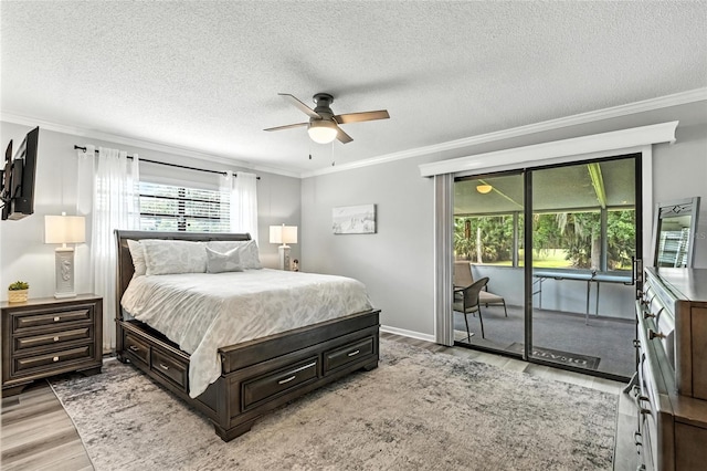 16 Courtney Pl, Palm Coast, FL 32137 - bedroom with access to outside, light wood finished floors, ornamental molding, a textured ceiling, and a ceiling fan