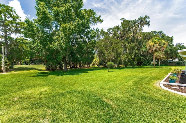 16 Courtney Pl, Palm Coast, FL 32137 - view of grassy yard featuring view of wooded area
