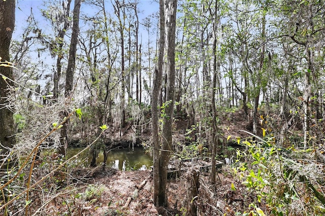 290 Federal Point Rd, East Palatka, FL 32131 - photo 47