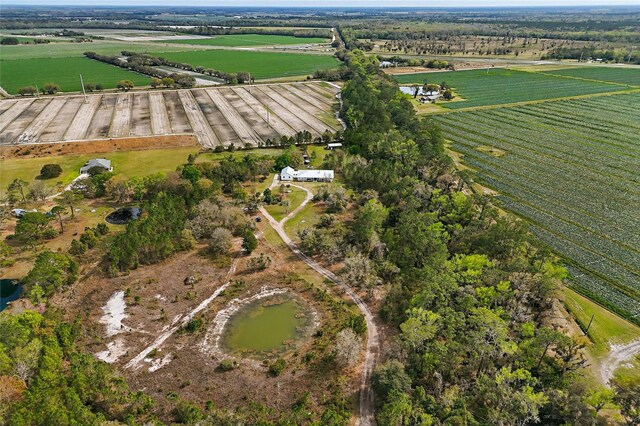 290 Federal Point Rd, East Palatka, FL 32131 - photo 55