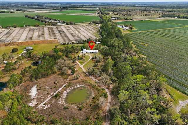 290 Federal Point Rd, East Palatka, FL 32131 - photo 56