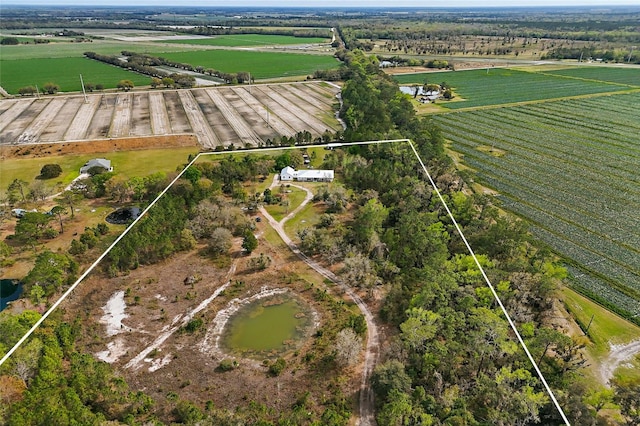 290 Federal Point Rd, East Palatka, FL 32131 - photo 57