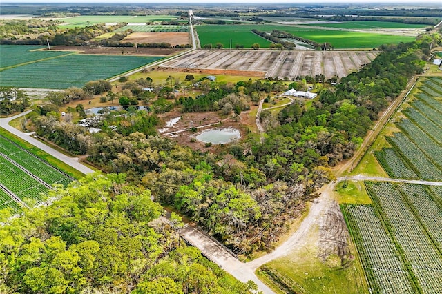 290 Federal Point Rd, East Palatka, FL 32131 - photo 68