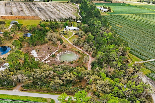 290 Federal Point Rd, East Palatka, FL 32131 - photo 71