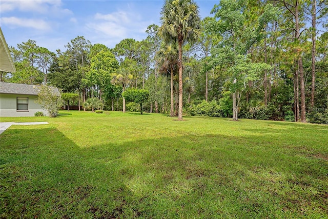 23 Powder Horn Dr, Palm Coast, FL 32164 - photo 39