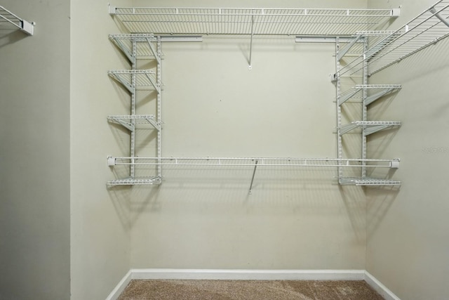 176 Nelson Ln, Saint Johns, FL 32259 - walk in closet with carpet floors