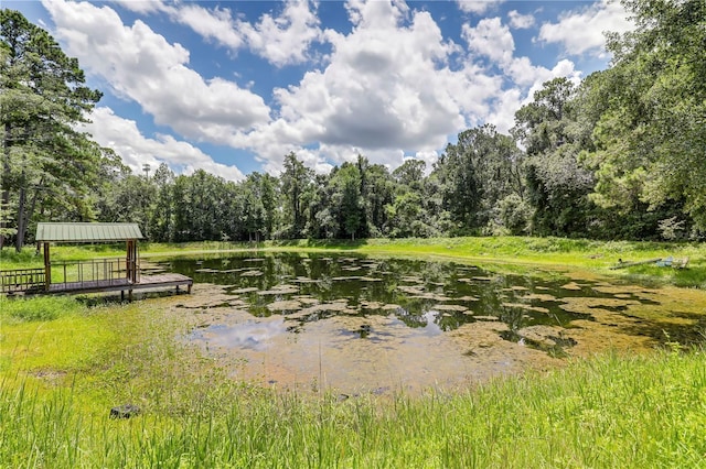 5616 Cherrytree Ave, Macclenny, FL 32063 - photo 6