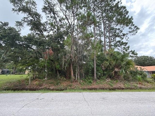 37 Princess Ruth Ln, Palm Coast, FL 32164