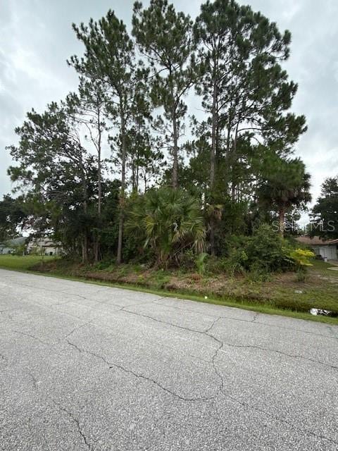37 Princess Ruth Ln, Palm Coast, FL 32164