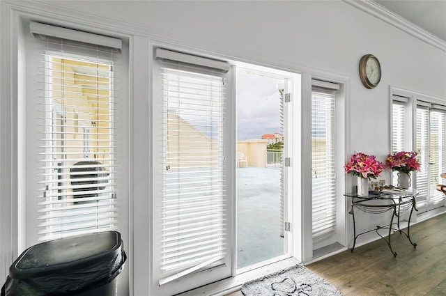 300 Bella Harbor Ct Unit 113, Palm Coast, FL 32137 - photo 59