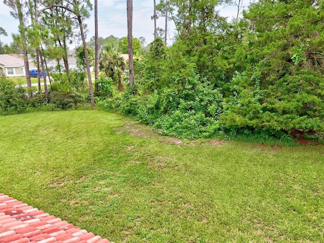 13 Burning Wick Pl, Palm Coast, FL 32137 - photo 78