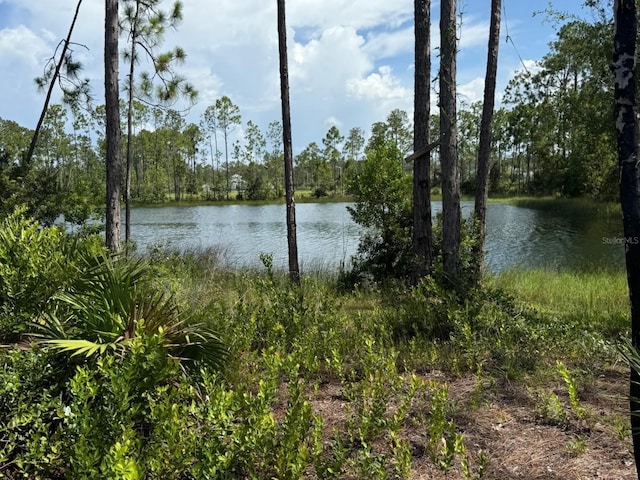 24 Llewellyn Trl, Palm Coast, FL 32164 - photo 46