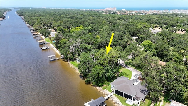 6 River Oaks Pl, Palm Coast, FL 32137 - photo 10