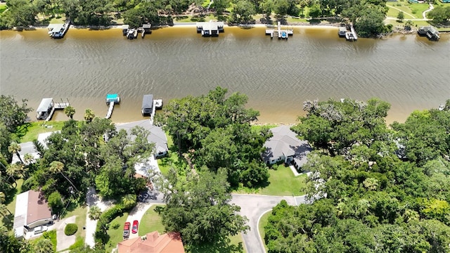 6 River Oaks Pl, Palm Coast, FL 32137 - photo 19