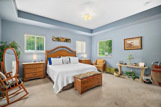 43 Llewellyn Trl, Palm Coast, FL 32164 - photo 27