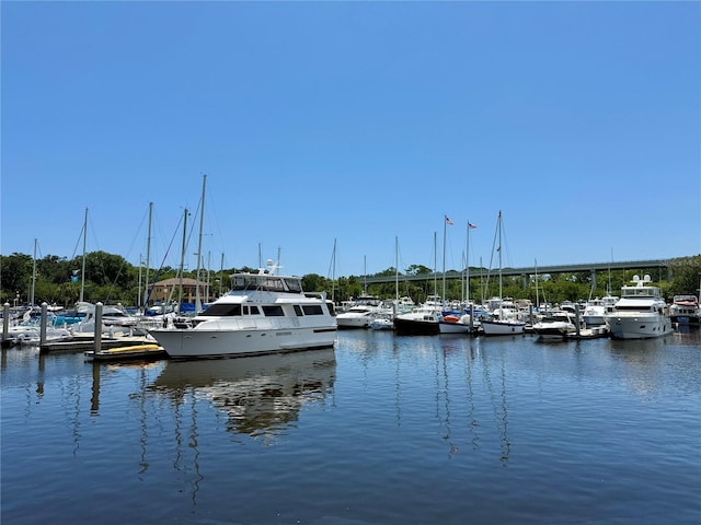 279 Yacht Harbor Dr, Palm Coast, FL 32137 - photo 47