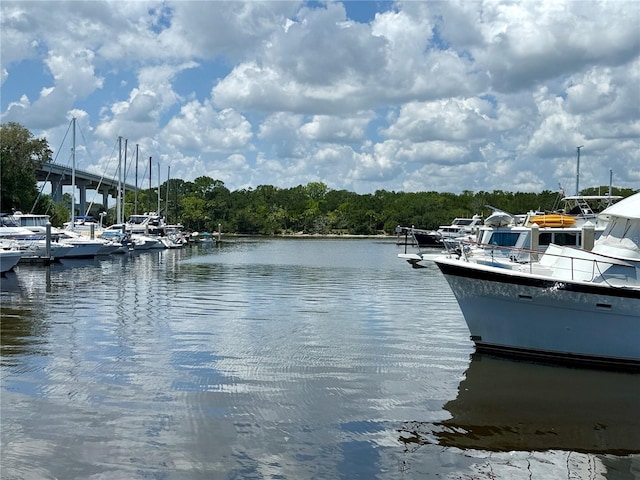 279 Yacht Harbor Dr, Palm Coast, FL 32137 - photo 49