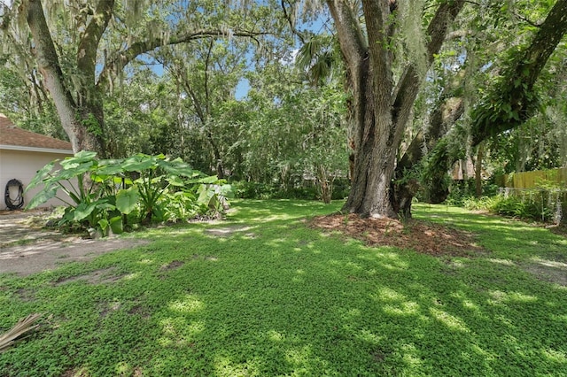 213 Brevity Ln, Deland, FL 32724 - photo 26