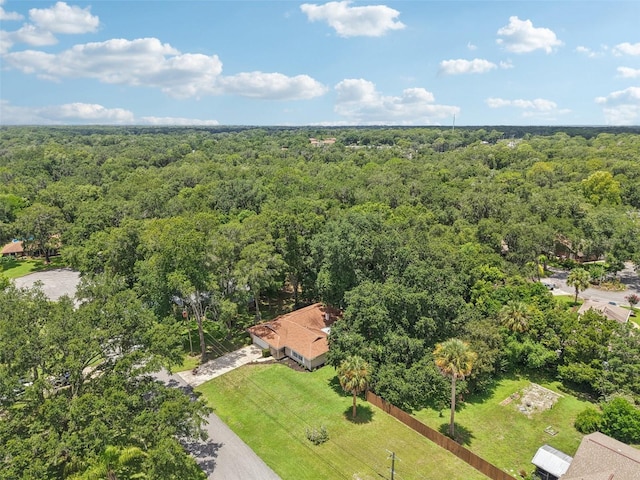 213 Brevity Ln, Deland, FL 32724 - photo 32