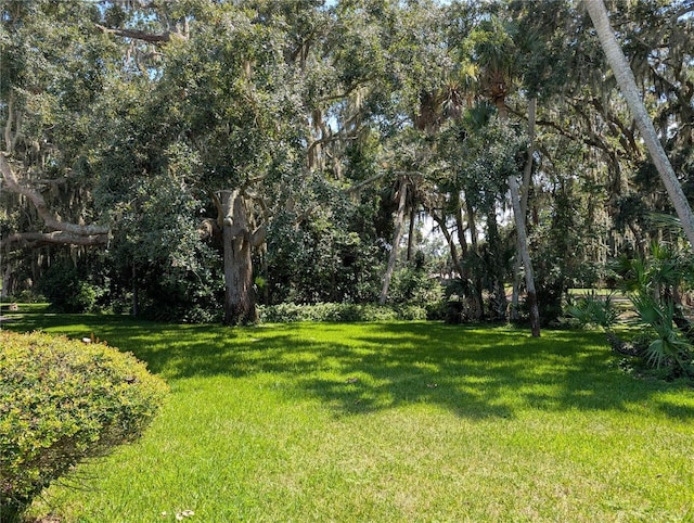 11 Crompton Pl, Palm Coast, FL 32137 - photo 18