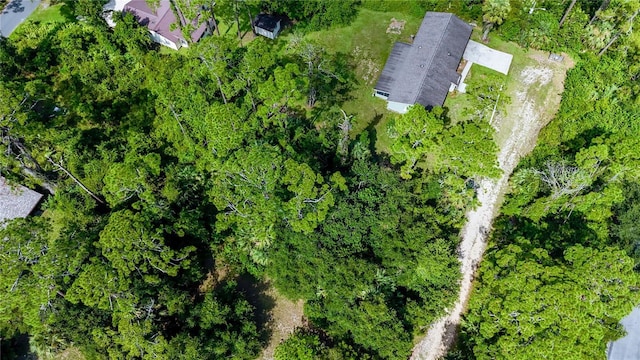 2400 Joyce St, Flagler Beach, FL 32136 - photo 32
