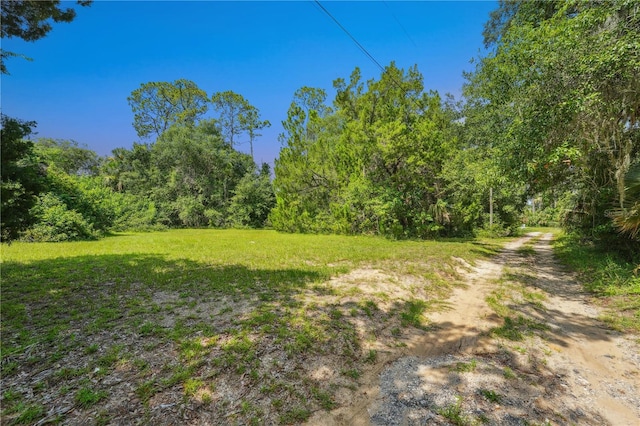 2400 Joyce St, Flagler Beach, FL 32136 - photo 35