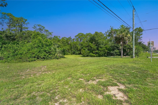 2400 Joyce St, Flagler Beach, FL 32136 - photo 47
