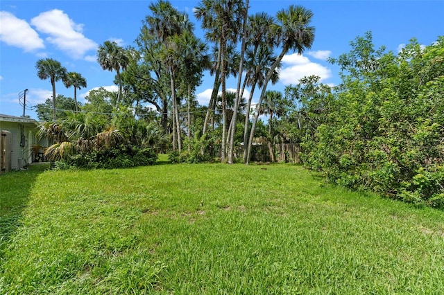 1926 Pine Tree Dr, Edgewater, FL 32141 - photo 29