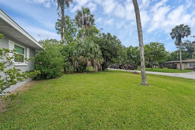 1926 Pine Tree Dr, Edgewater, FL 32141 - photo 35