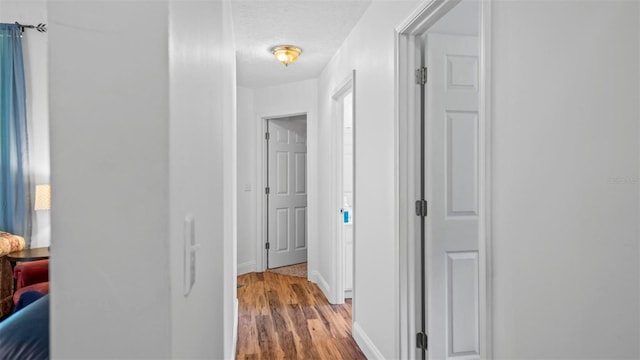 3176 Twilight Ct, Middleburg, FL 32068 - photo 12