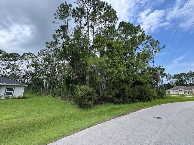 53 Woodside Dr, Palm Coast, FL 32164 - photo 1