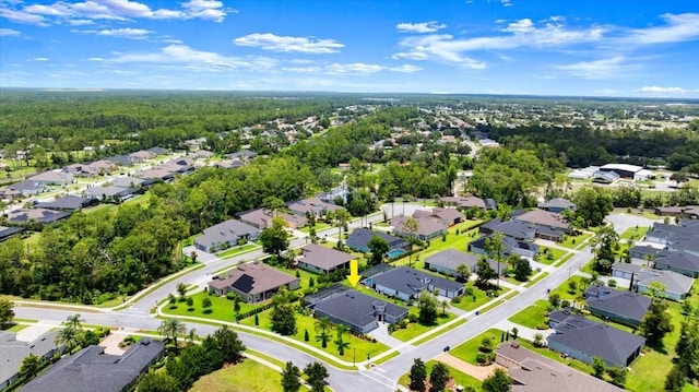 2426 Wild Turkey Creek Ln, Port Orange, FL 32128 - photo 54