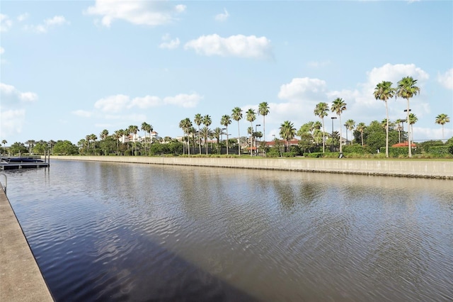 238 Harbor Village Pt N, Palm Coast, FL 32137 - photo 61