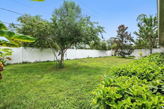8 Zorro Ct, Palm Coast, FL 32164 - photo 30