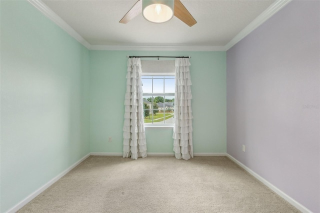 10 Firefly Trce, Saint Augustine, FL 32092 - photo 36