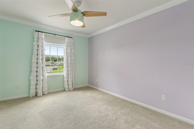 10 Firefly Trce, Saint Augustine, FL 32092 - photo 37