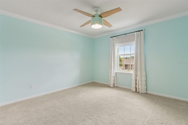 10 Firefly Trce, Saint Augustine, FL 32092 - photo 38