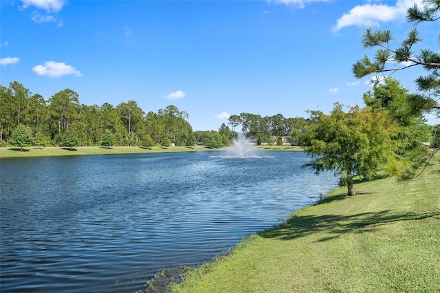 856 Pinewood Dr, Ormond Beach, FL 32174 - photo 41