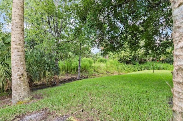123 Putter Dr, Palm Coast, FL 32164 - photo 36