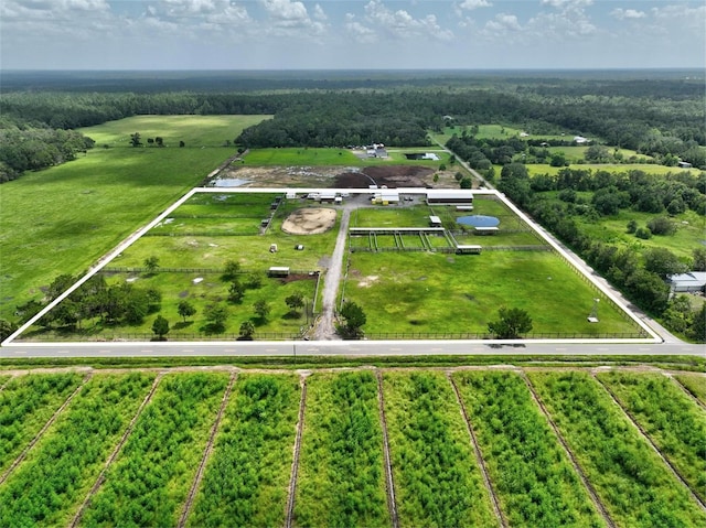 596 E County Road 90, Bunnell, FL 32110 - photo 1