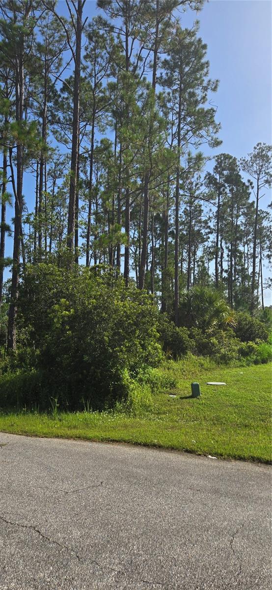 5 Kalverton Ct, Palm Coast, FL 32164 - photo 5