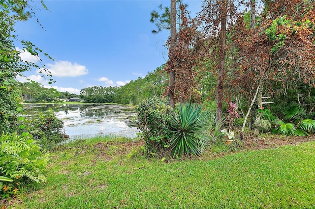 47 Kathleen Trl, Palm Coast, FL 32164 - photo 55