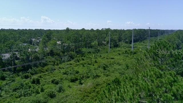 3 Serenity Pl, Palm Coast, FL 32164 - photo 4