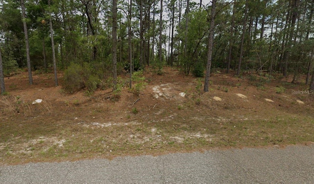 2540 W Ventura Ln, Citrus Springs, FL 34434 - photo 2