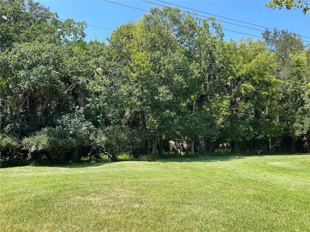7 Blackthorn Ct, Palm Coast, FL 32137 - photo 29