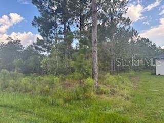3 Lansing Ln, Palm Coast, FL 32137 - photo 3